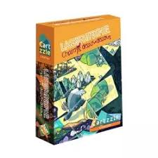 labyrinthe champs dessus dessous cartzzle édition
